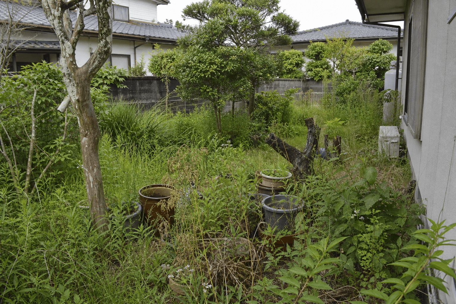 除草前・施工前の庭