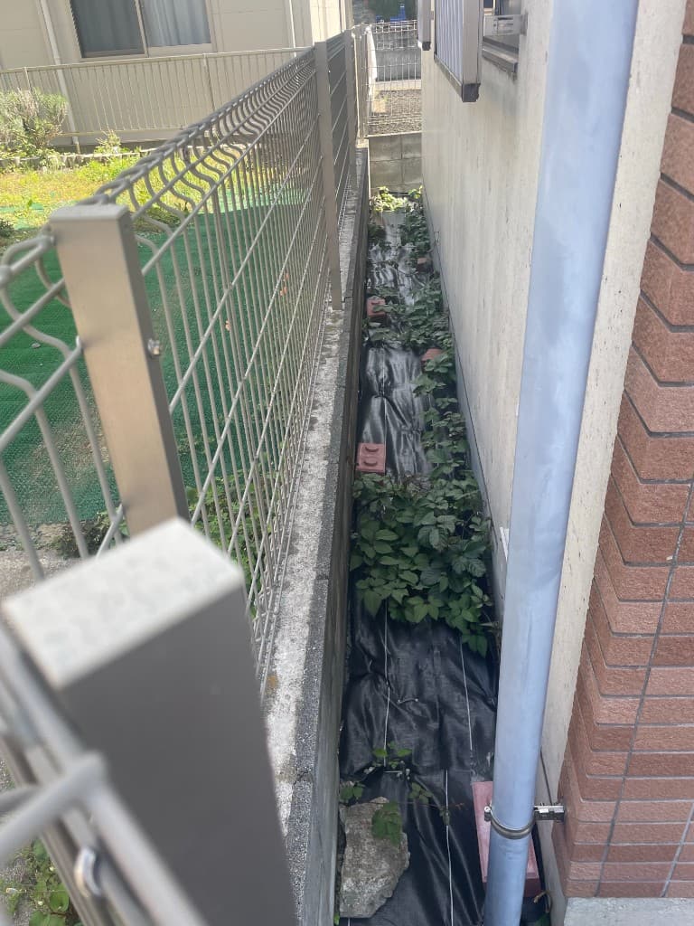 防草土施工前の建物側面の細い通路